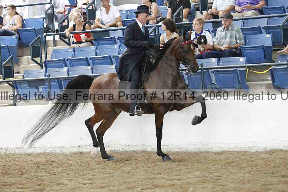 Proof 12r14_2060