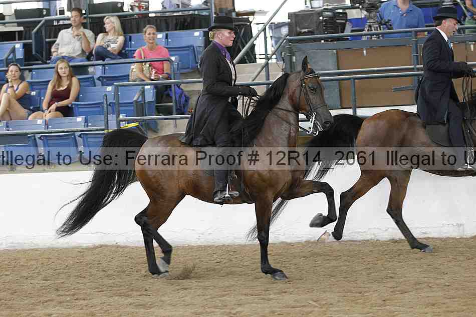 Proof 12r14_2061
