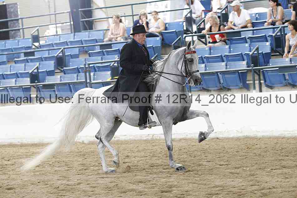 Proof 12r14_2062