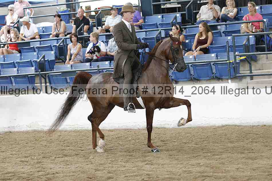 Proof 12r14_2064
