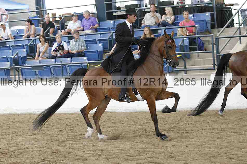 Proof 12r14_2065