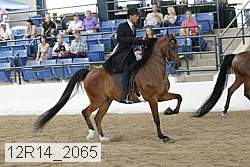 12r14_2065 proof
