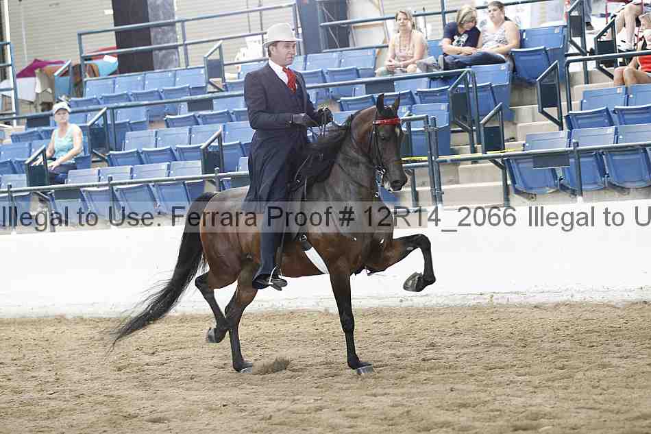 Proof 12r14_2066