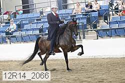 12r14_2066 proof