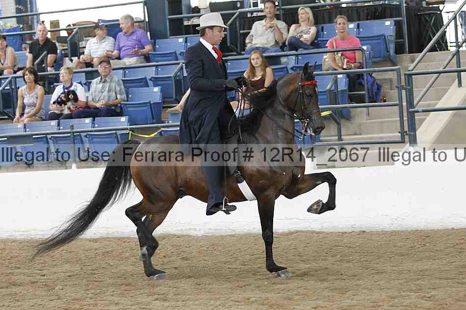 Proof 12r14_2067