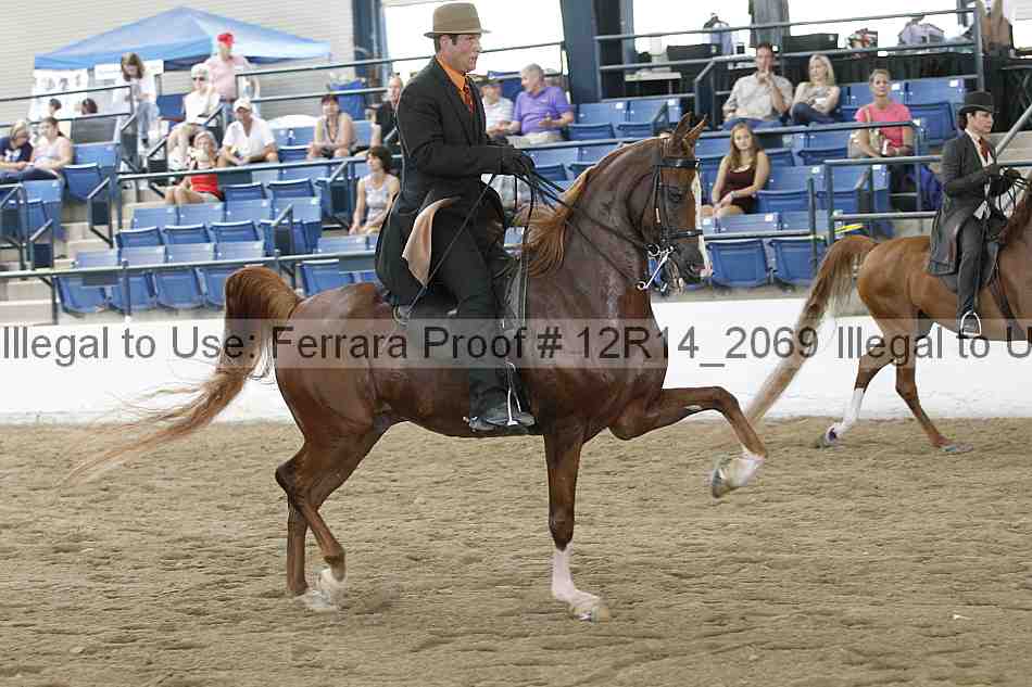 Proof 12r14_2069