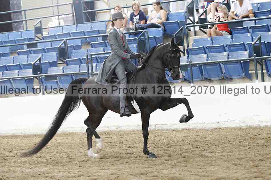 Proof 12r14_2070