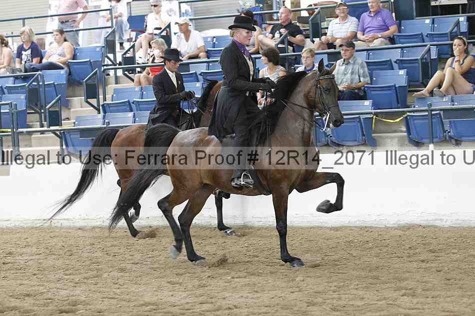 Proof 12r14_2071