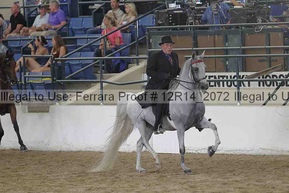 Proof 12r14_2072