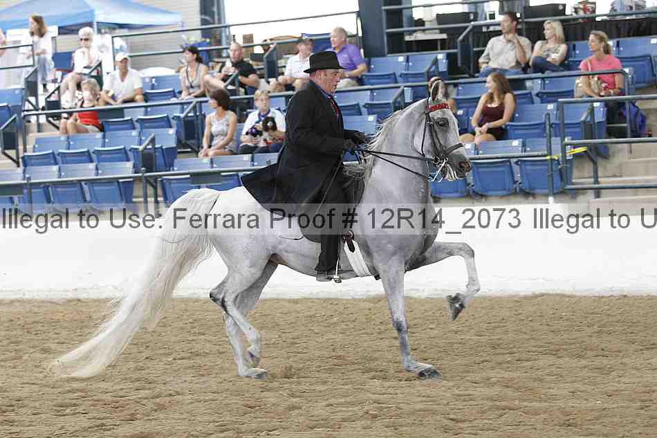 Proof 12r14_2073
