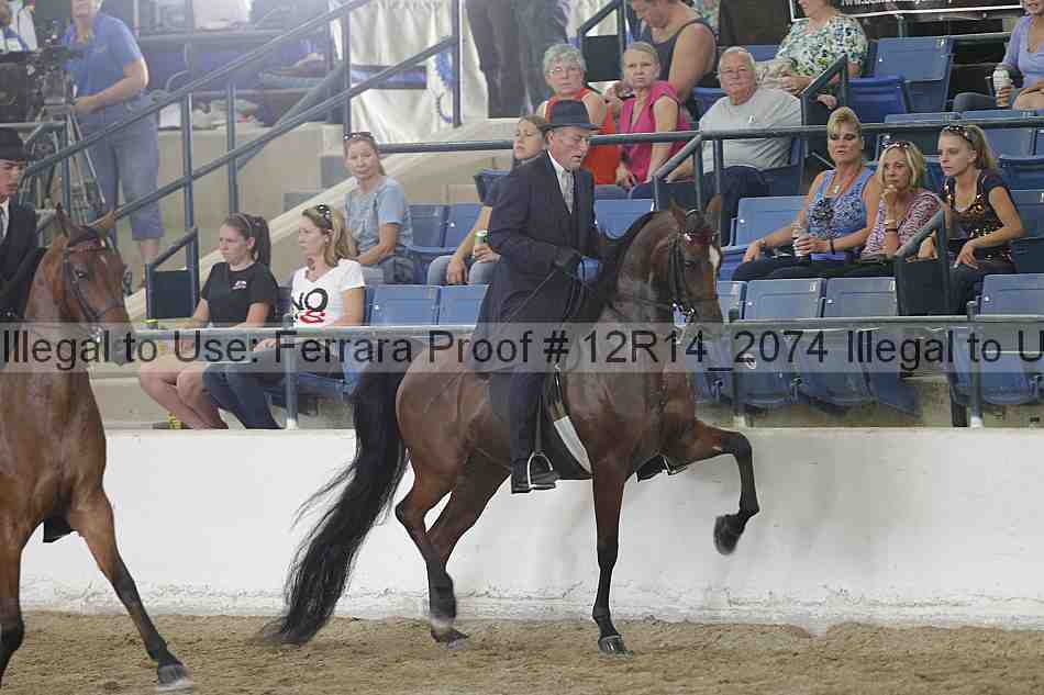 Proof 12r14_2074