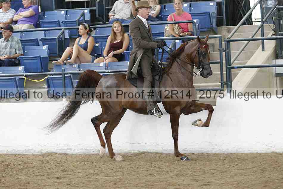 Proof 12r14_2075