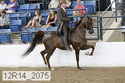 12r14_2075 proof