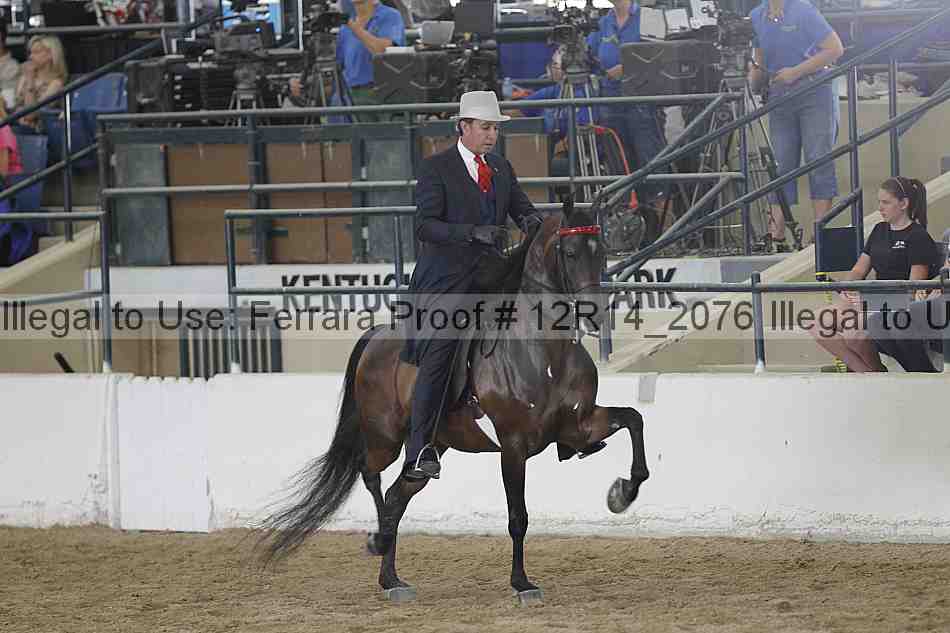 Proof 12r14_2076