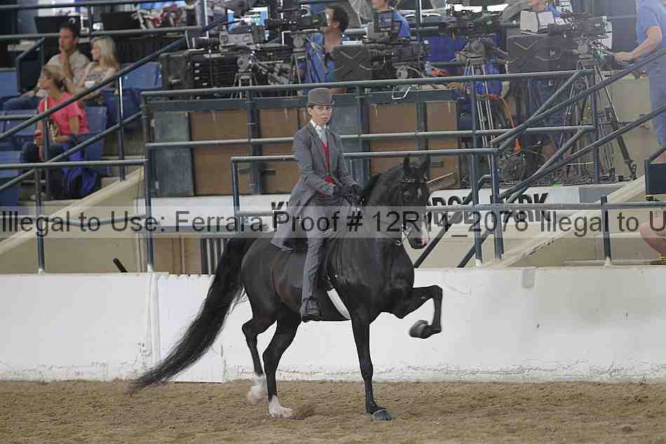 Proof 12r14_2078