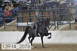 12r14_2078 proof