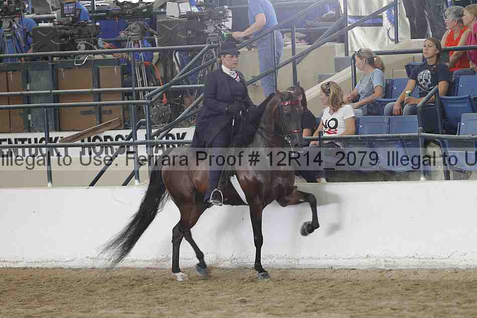 Proof 12r14_2079