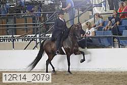 12r14_2079 proof