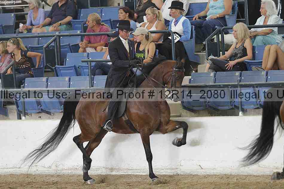 Proof 12r14_2080