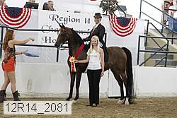 12r14_2081 proof