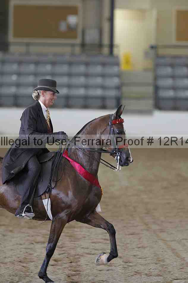 Proof 12r14_2082