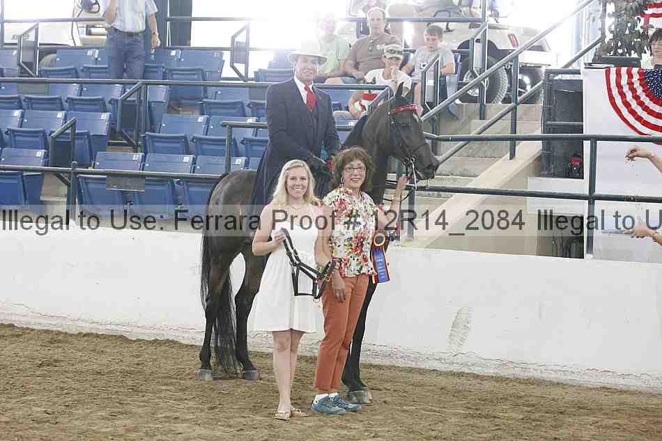 Proof 12r14_2084