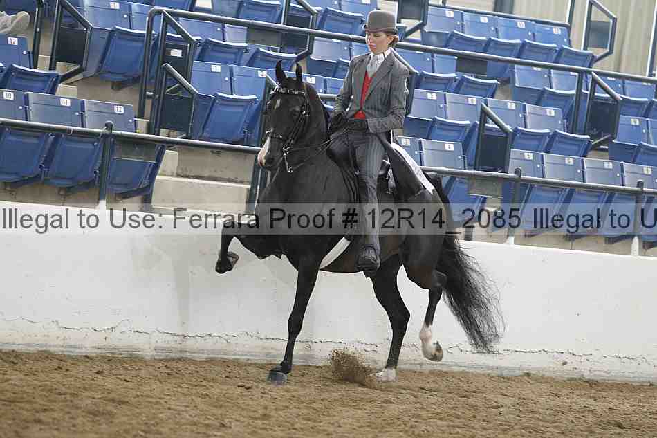 Proof 12r14_2085