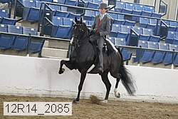 12r14_2085 proof