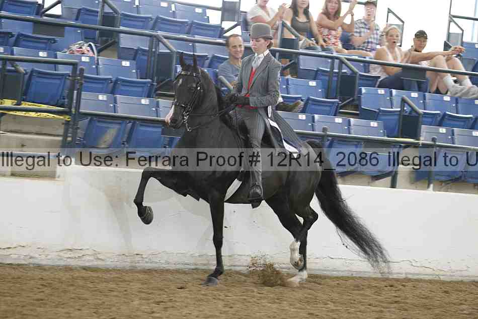 Proof 12r14_2086