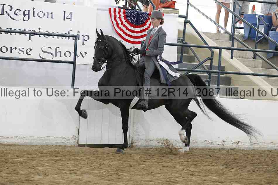 Proof 12r14_2087