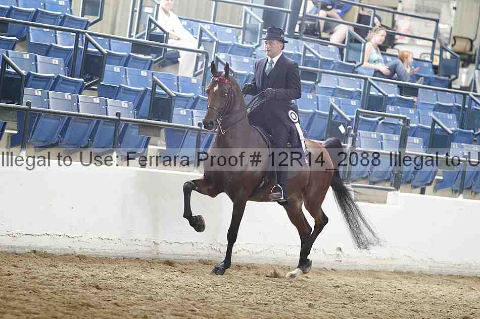 Proof 12r14_2088