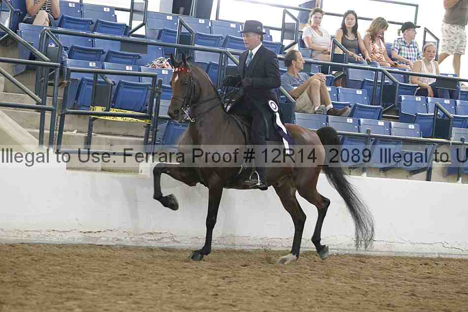 Proof 12r14_2089