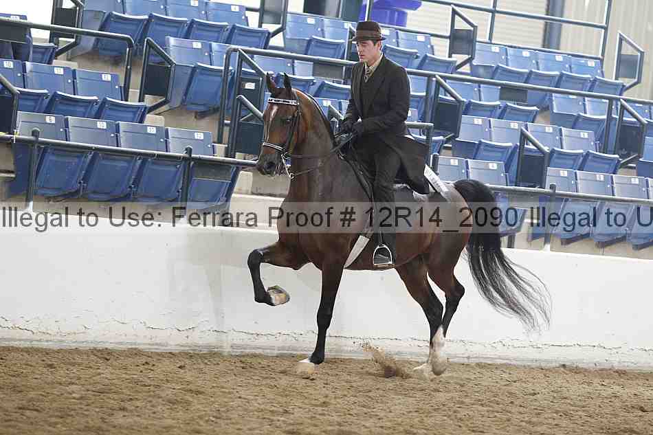 Proof 12r14_2090