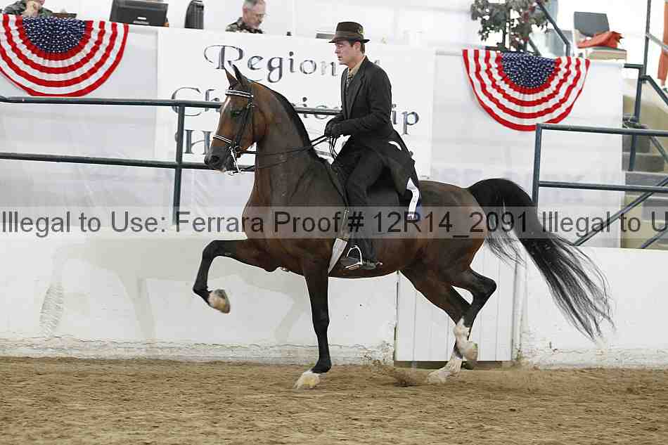 Proof 12r14_2091