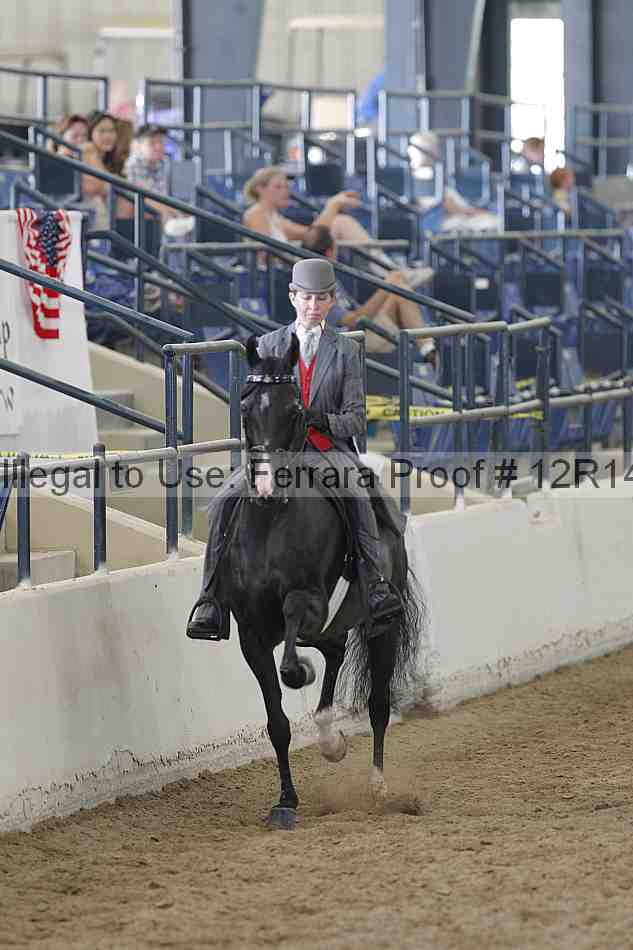 Proof 12r14_2092