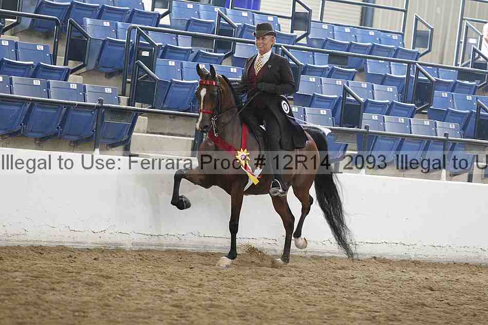 Proof 12r14_2093