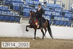 12r14_2093 proof