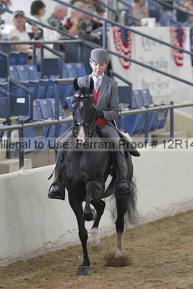 Proof 12r14_2094