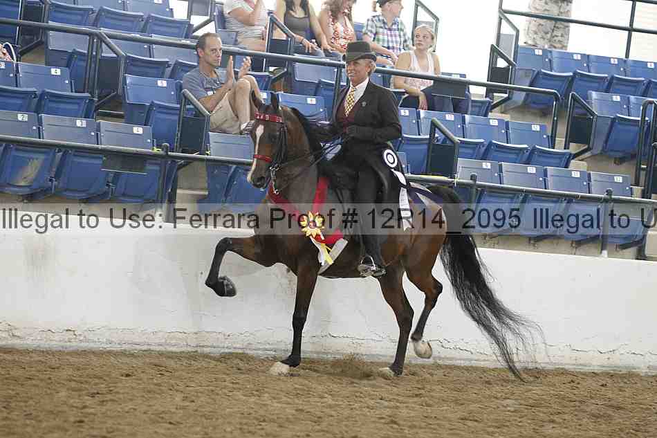 Proof 12r14_2095