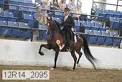 12r14_2095 proof