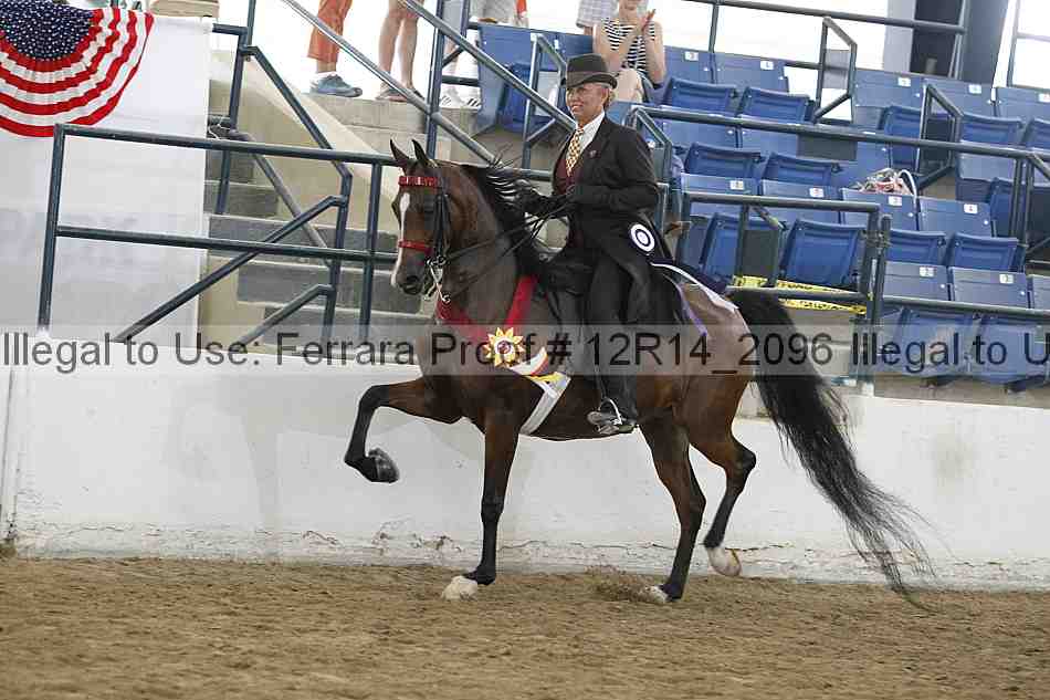 Proof 12r14_2096