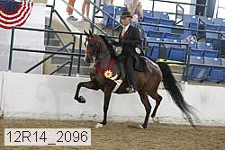 12r14_2096 proof