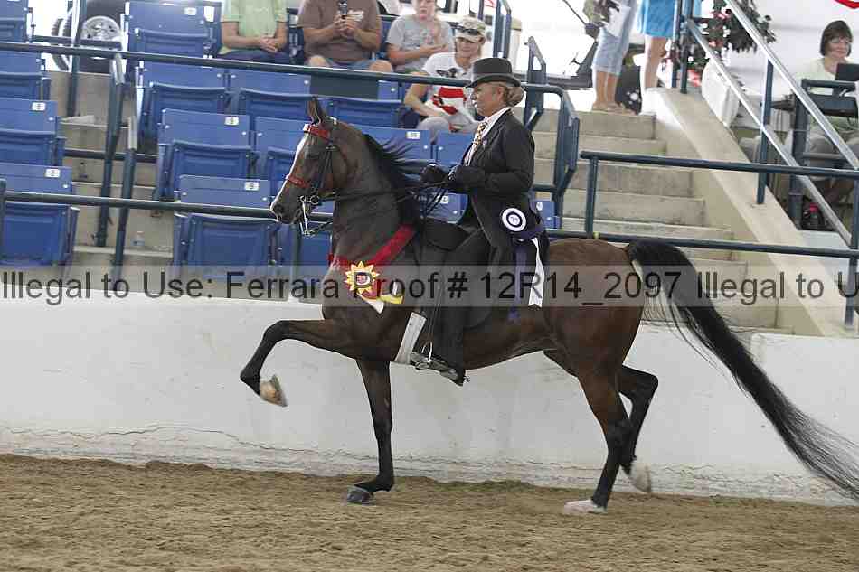 Proof 12r14_2097