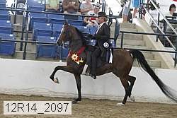 12r14_2097 proof