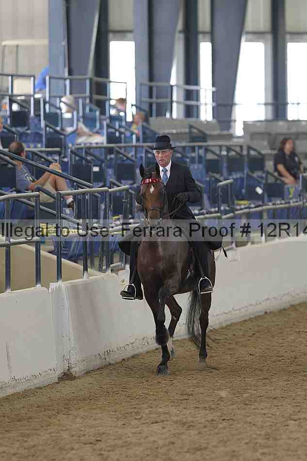 Proof 12r14_2098