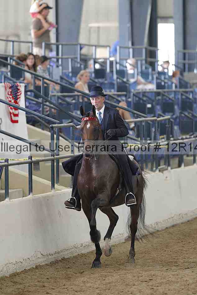 Proof 12r14_2099