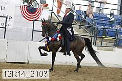 12r14_2103 proof