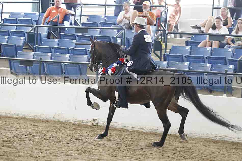 Proof 12r14_2105