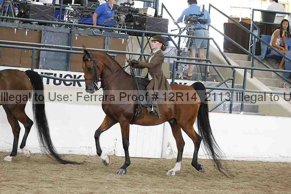 Proof 12r14_2113
