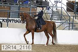 12r14_2116 proof